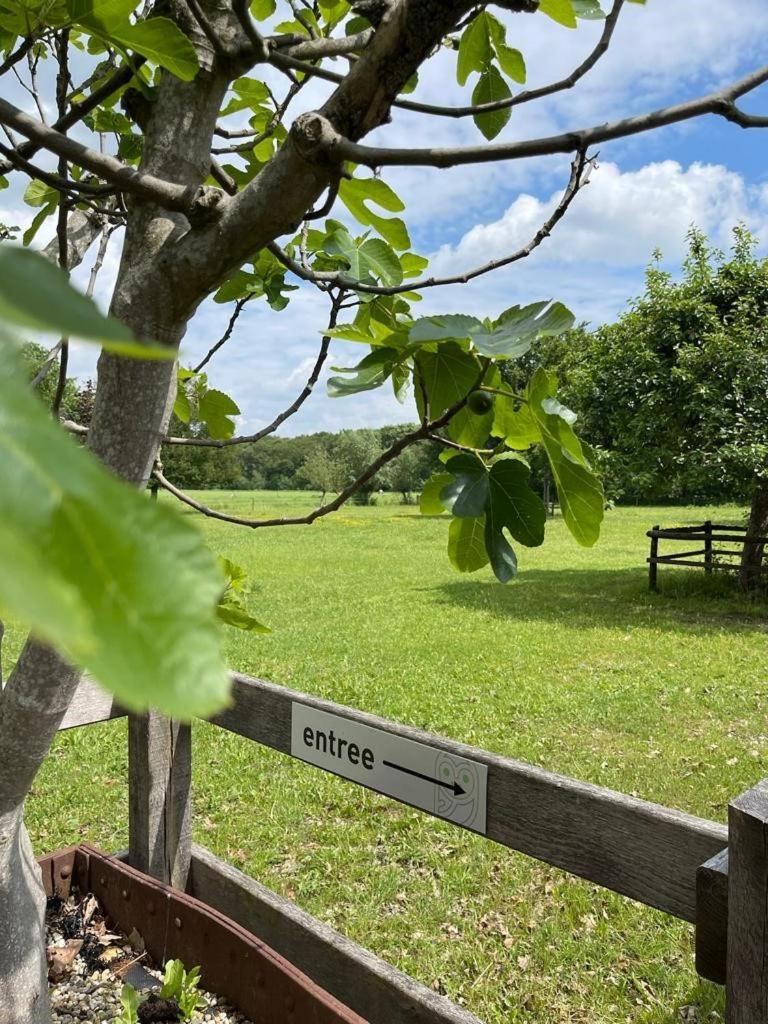 Bb De Marshoek Dalfsen Buitenkant foto